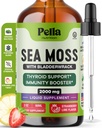 Pella Nutrition Sea Moss gotas con Bladderwrack – 4X Faster Absorption Than Irish Sea Moss Gel Superfood, Gummies y Capsules – Digestive &amp; Immune Support Supplement (Strawberry Lime, 60mL)