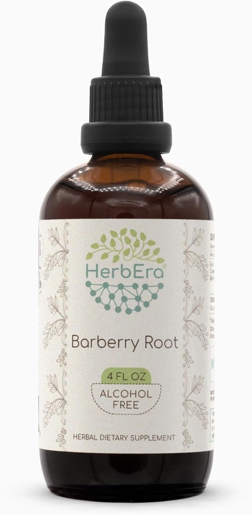 Barberry Root B120 Extracto herbal libre de alcohol Tintura, gotas líquidas concentradas Barberry natural (Berberis Vulgaris) (4 fl oz)