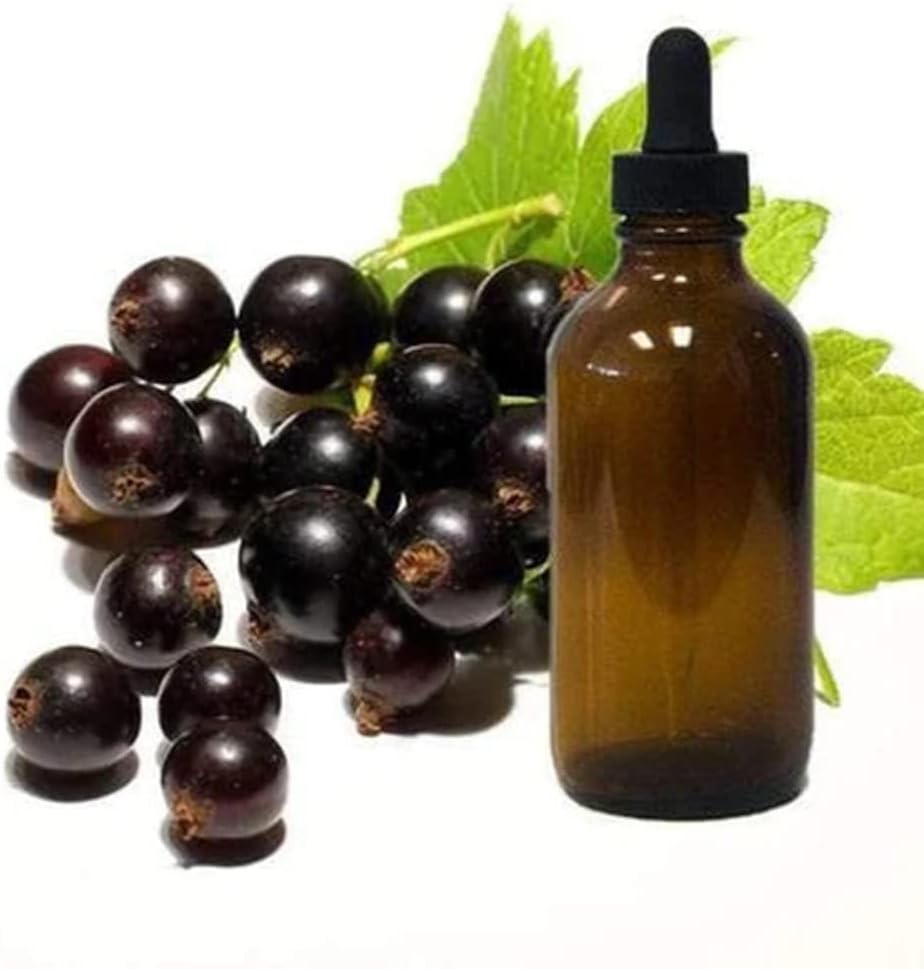 Black Currant Seed Oil 1/4oz Sample