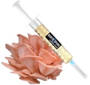 North Spore Organic Pink Oyster Mushroom Liquid Culture | Mushroom Growing | Pleurotus djamor | Made by Mycologists