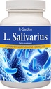 L. Salivarius, 250 caps.