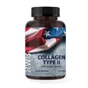 RWB - Collagen Type II - 60 Capsules
