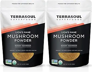 Terrasoul Superfoods Mane Mushroom de León Orgánico Polvo (4:1 Extracto), 11 onzas