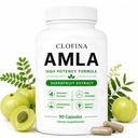 Organic Amla Capsules, Amla Extract Superfruit Supplement with Indian Gooseberry, Supports Energy Boosting, Antioxidant Activity & Digestion, Daily Health Formula, 90 Capsules