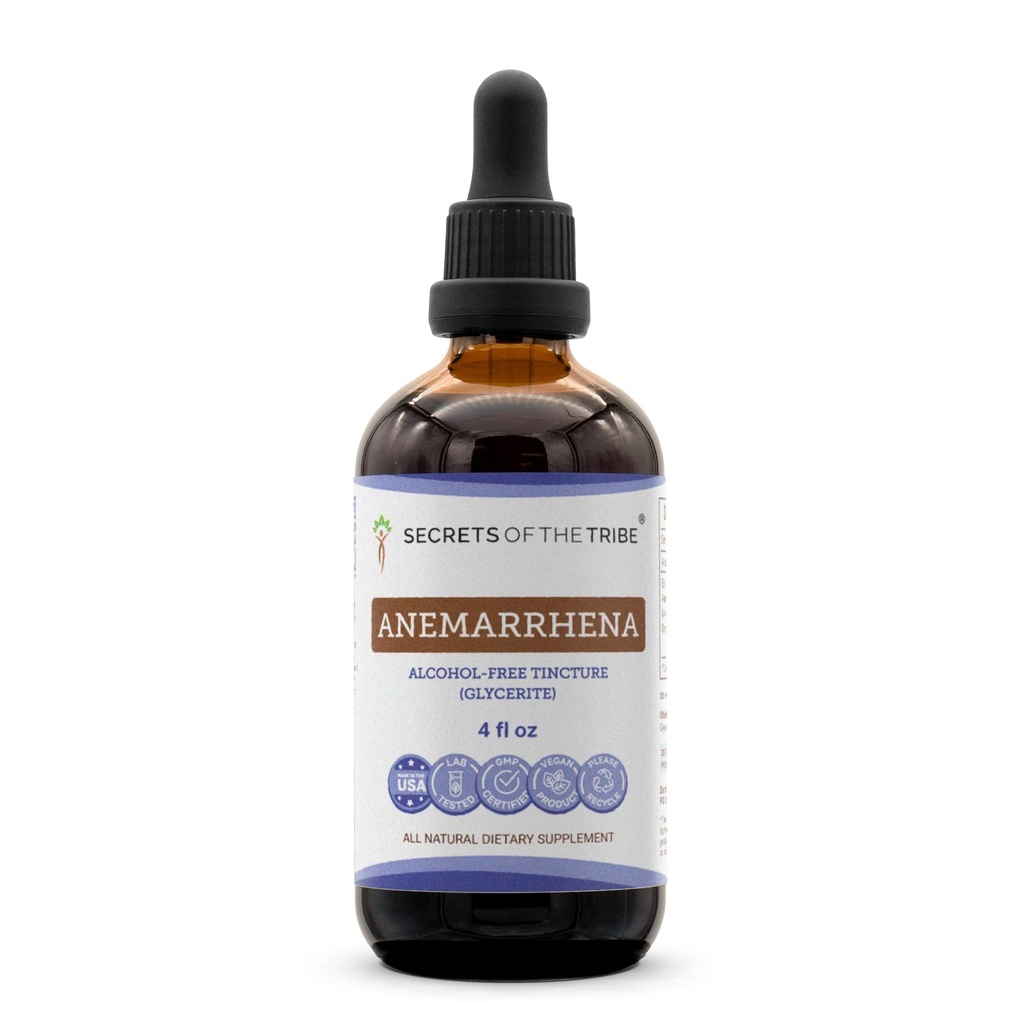 Secrets of the Tribe Anemarrhena Tincture Alcohol-Free Extract, High-Potency Herbal Drops, Tincture Made from Wildcrafted Anemarrhena, Zhi Mu Anemarrhena Asphodeloides Respiratory System Health 4 oz