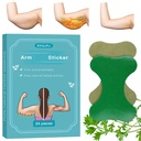 Effective 24Pcs/Box Mugwort Patches -Wormwood Stickers Natural Herbal Patches for Arm and Leg Natural Herbal Arm Patch for Women and Men (24)
