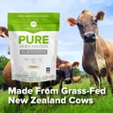 SFH Pure Whey Protein Powder (Vanilla) Best Tastin Grass Fed Whey ← All Natural ← Non-GMO, No Artificials, Soy Free, Gluten Free TEN (Vanilla, 31.9 Ounce (Pack of 1)