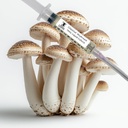 Chestnut Mushroom (Pholiota adiposa) - Liquid Culture - 10cc
