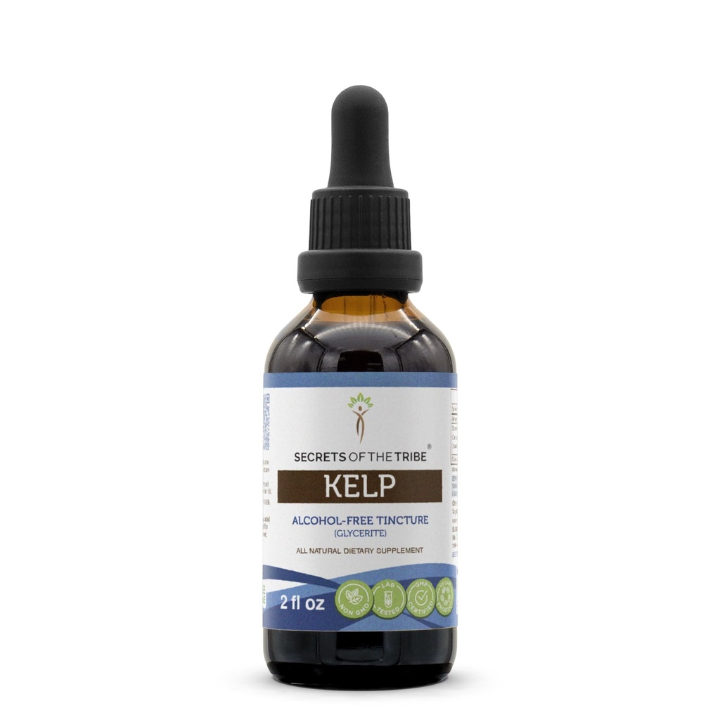 Secrets of the Tribe Kelp Tincture Alcohol-Free Liquid Extract, Kelp (Ascophyllum nodosum) Dried Plant (2 FL OZ)
