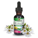 Nature's Answer Eyebright Herb with Organic Alcohol, 1-Fluid Ounce