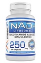 MAAC10 Liposomal NAD Suplemento 500mg Servir (2x250mg Capsules) Actual Nicotinamide Adenine Dinucleotide