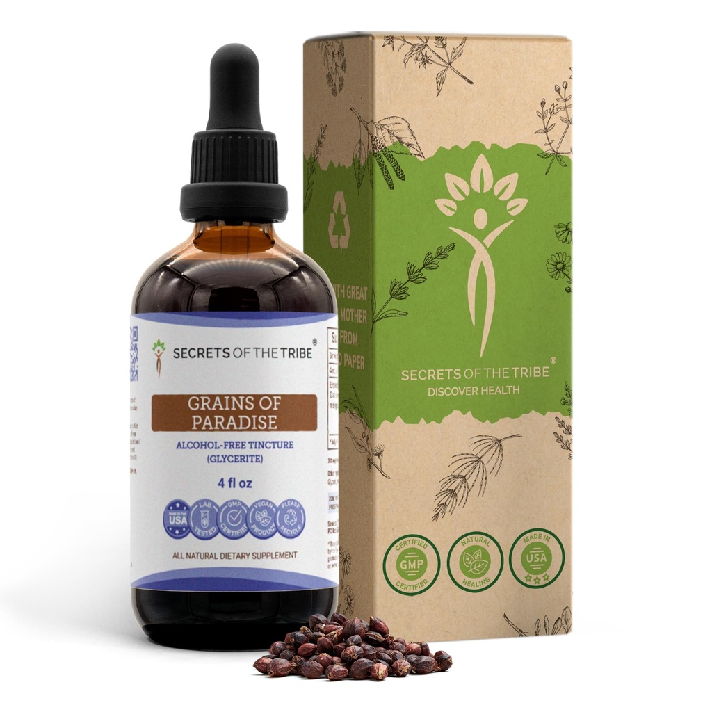 Grains of Paradise Tincture Alcohol-Free Liquid Extract, Grains of Paradise (Aframomum melegueta) Dried Seeds (4 FL OZ)