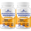 Lifeatlas Akkermansia Supplement Probiotic | Akkermansia with 300 Billion AFU Akkermansia Probiotic, 6-in-1 Akkermansia Probiotics for Women and Men, Daily Akkermansia Supplement, 120 Caps