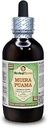 Muira Puama (Ptychopetalum Olacoides) Glycerite, Ecológico Alcohol-Free Liquid Extract (Marca: HerbalTerra, Proudly Made in USA) 4 fl.oz (120 ml)