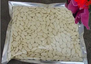 100% pura y orgánica Royal Jelly lyophilized Powder Tablet 100 Grams 10-HAD но6.0%