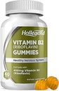 Vitamin B2 Gummies Riboflavin 400mg, B2 Vitamin Chewable Supplement, Vegan, Non GMO, Orange Flavor, 60 Count