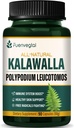 Kalawalla Root Capsules, Polypodium Leucotomos Extracto Suplementos Apoyo Sistema Inmunitario, Salud de la piel y Defensa Radical Libre, dura 3 meses. Cuenta 90