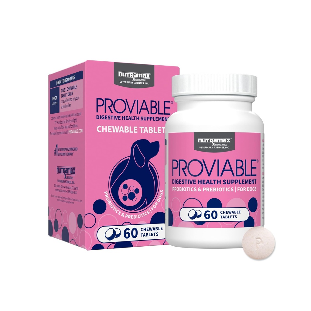 Nutramax Proviable Probiotics for Dogs, Daily Digestive Health Supplement with Multiple Strains of Bacteria, Dog Probiotics Plus Prebiotics, 60 Chewable Tablets
