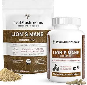 Mushrooms reales Lions Mane for Humans (60 Servings) and Pets (120ct) - Powder " Capsules Bundle for Cognition " Immunity - Vegan, Non-GMO, Gluten-Free, Grain-Free Mushroom Extract Suplementos