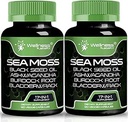 Irlandés Moss Capsules, 17-en-1, Seamoss Black Seed Oil, 120 Conde, Ashwagandha Burdock Root Organic Bladderwrack Capsules ← Orgánica Sea Moss Avanzado, Inmune y Blood Pressure Support