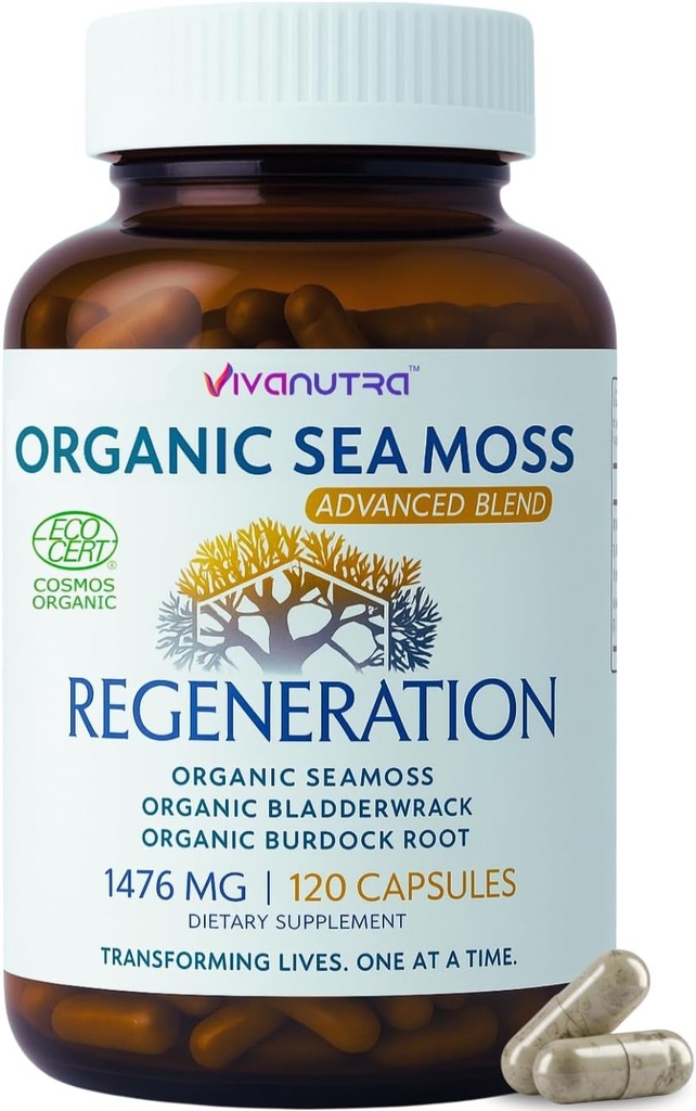 Sea Moss Capsules 1476mg – Organic Seamoss Pills Superfood with Irish Sea Moss, Bladderwrack & Burdock Root ← 120 Vegan Capsules for Vitality, Energy & Skin Support – Made in USA