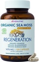 Sea Moss Capsules 1476mg – Organic Seamoss Pills Superfood with Irish Sea Moss, Bladderwrack & Burdock Root ← 120 Vegan Capsules for Vitality, Energy & Skin Support – Made in USA