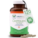 Cryptolepis Synergy, Immune Support Vitamins, Immune System Booster for Adults, Liver, Lymphatic, &amp; Immune Support Supplement, Support Lyme &amp; Natural Parasite Defense, 120 Capsules
