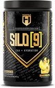 HOSSTILE SILO[9] Essential Amino Acids, EAA & BCAA Powder, Electrolyte Hydration Support, Enhance Muscle Growth & Recovery, Pre or Post Workout Drink, Blueberry Lemonade, 30 Servings