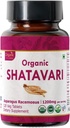 Shatavari 120 Tablets ← Espárrago Racemosus (Shatavari) Silencio USDA Orgánica Certificada  sometida Apoya el Sistema de Salud e Inmunidad de las Mujeres ← Dietary Supplement 120tab