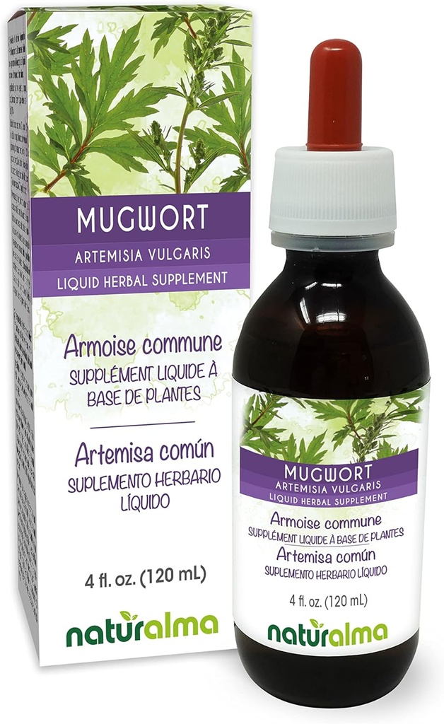 Naturalma Mugwort (Artemisia vulgaris) hierba con Flores Tintura libre de alcohol - 4 fl oz Extracto líquido en gotas - Suplemento herbal - Vegan