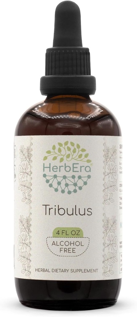 HerbEra Tribulus B120 Extracto herbario libre de alcohol Tintura, gotas líquidas concentradas Tribulus natural (Tribulus Terrestris) Fruta seca (4 fl oz)