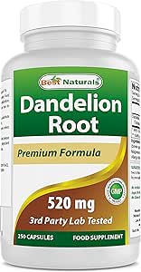 Best Naturals Dandelion Root 520 mg 250 Capsules