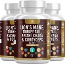 Mushroom Supplement with Lion's Mane Turkey Tail Reishi Cordyceps Chaga Marshmallow Root - 180 Count