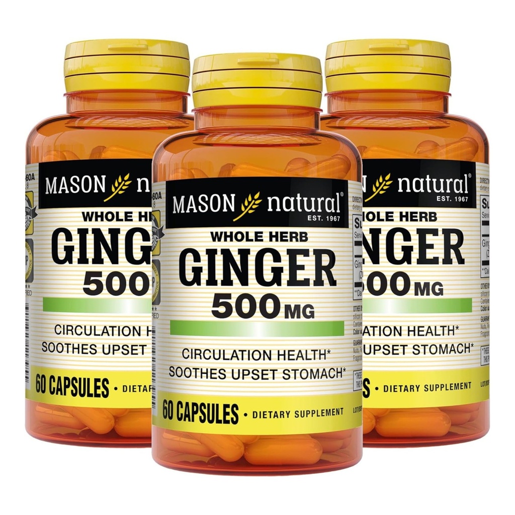 MASON NATURAL Whole Herb Ginger 500 mg, 6 Month Supply, Natural Herbal Supplement, 60 Capsules (3 Pack)
