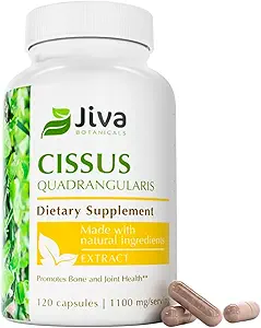 Botánicos Jiva Cissus Quadrangularis Capsules 550 mg - Extracto de Polvo de Cissus de Alta Potencia para la Salud Normal de Huesos &amp; Soporte Conjunto Normal - 120 cápsulas (Pack de 1)