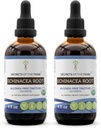 Echinacea Root USDA Organic Tincture ← Extracto libre de alcohol, gotas herbales de alta potencia, sistema inmunológico Salud Silencioso Hecho de 100% Certificada Echinacea Root (Echinacea Purpurea) 2x4 oz