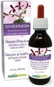 Naturalma South African Pelargonium o Umckaloaba (Pelargonium sidoides) Root Alcohol-Free Tintura - 4 fl oz Liquid Extract in Drops - Herbal Supplement - Vegan