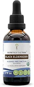 Black Elderberry USDA Organic Tincture ← Alcohol-FREE Extract, High-Potency Herbal Drops, Immune System Health TEN Made from 100% Certified Organic Black Elderberry (Sambucus Nigra) 2 oz