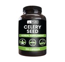 Ingredientes originales puros Celery Seed (365 capsules) No hay magnesio o rifles de arroz, siempre puros, lab verificados