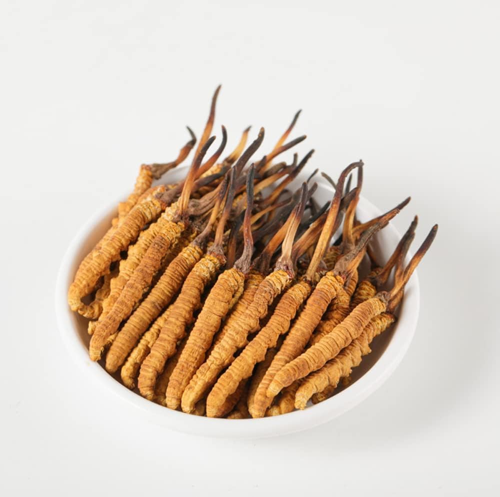 Cordyceps salvajes, Cordyceps de Himalaya entero Sinensis Mushroom, Genuine y Muy Raro, Alto Grado, Energía Boost, Reducir el estrés para hombres y mujeres, 5 Gramos (13+17pic) de Lamjung Nepal Keeda Zadi