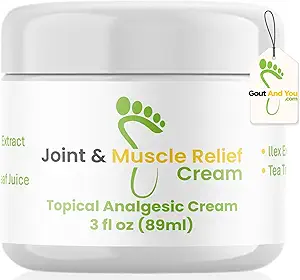 Gout and You Relief Cream for Joint Discomfort, Flare-Ups, Tendon - Fast Acting Muscle Ache Relieving Rub with Arnica/Ilex Leaf Extract, Aloe Vera and Tea Tree Oil