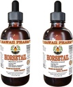 Extracto líquido de caballo, cola de caballo orgánico (Equisetum arvense) Tintura Suplemento 2x2 oz