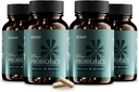 BIOMA Probióticos para la gestión de peso " Salud digestiva, 3 en 1 Gut Health Probióticos y Prebióticos/Postbióticos, Slow Release Synbiotic Probiotic Capsules for Gut Health Multi Enzyme (240 Caps)