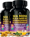 Sea Moss Capsules – 17-en-1 Blend con aceite de semilla negra Ashwagandha Bladderwrack Burdock Root Turmeric Vitamina D3 K2 C para el bienestar diario – Suplemento multimineral para hombres y mujeres – 240 Conde