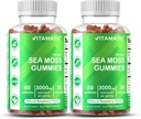 Vitamatic Irish Sea Moss Gummies – 3000 mg Equivalente por Serving (desde el Extracto 132,5 mg) – 60 Ct – Hecho con Fledderwrack & Burdock Root – 2 Pack