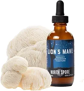 North Spore Organic Lion's Mane Mushroom Tincture (2 oz) ← 100% Fruiting Body Extracts confidencialidad for Focus, Memory, Brain Support ← Certified Organic, Vegan, Non-GMO TEN Adaptogenic, Nootropic TEN Made in USA