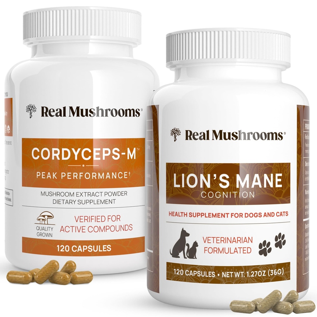 Mushrooms reales Cordyceps for Humans (120ct) and Lions Mane for Pets (120ct) - Bundle for Energy, Vitality & Cognition - Vegan, Non-GMO, Gluten-Free, Grain-Free Mushroom Extract Supplements