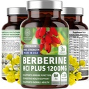 Nutrición N1N Premium Berberine Plus 120 Caps, 1200mg, Suplemento Natural Apoya Anti-Aging, Salud Celular, Energía y Digestión