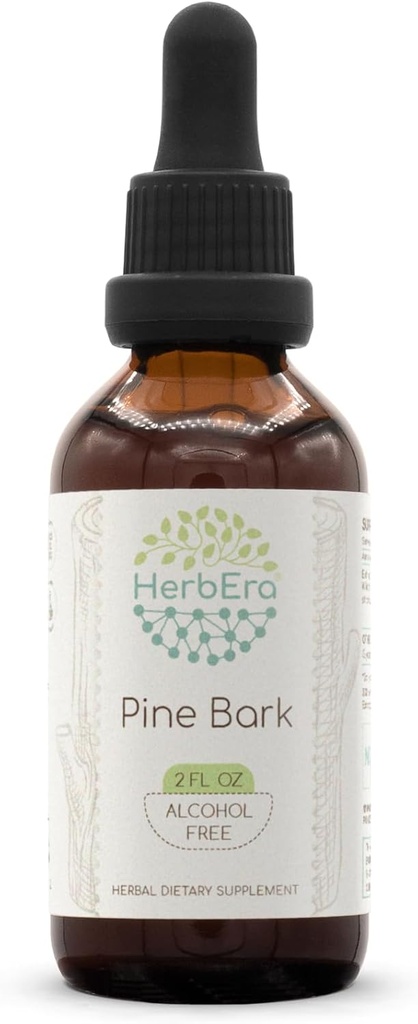 HerbEra Pine Bark B60 Extracto herbal libre de alcohol Tintura, gotas líquidas concentradas Barco de pino natural (Proanthocyanidin) Barco seco 2 fl oz