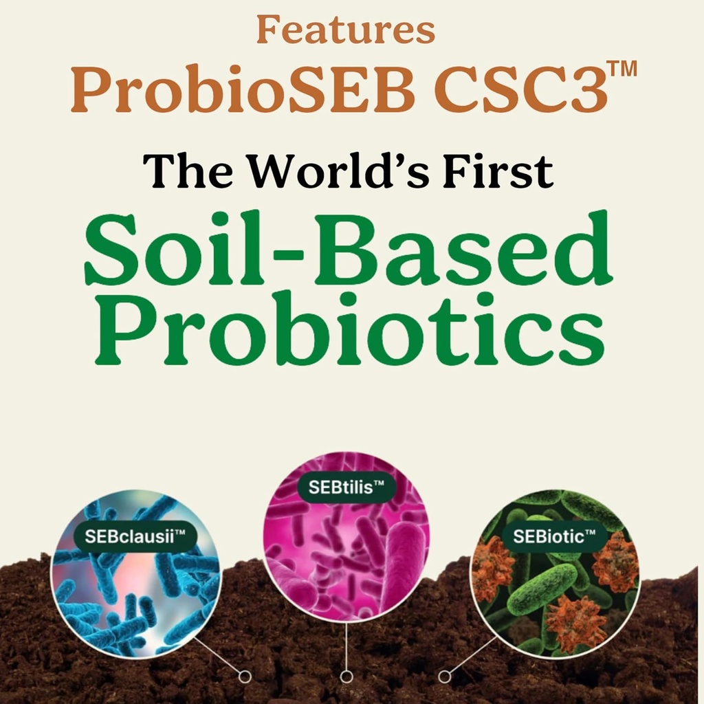 Mejores Días Fórmula ← Avanzado 5-en-1 Gut Support for Bloating, Gas & Irregularity ← Probióticos basados en suelos + Prebióticos, L-Glutamine, Aloe Vera &amp; Más  actuales 60 cápsulas